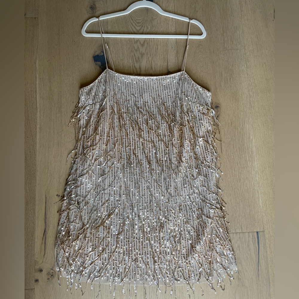Champagne sequin dress